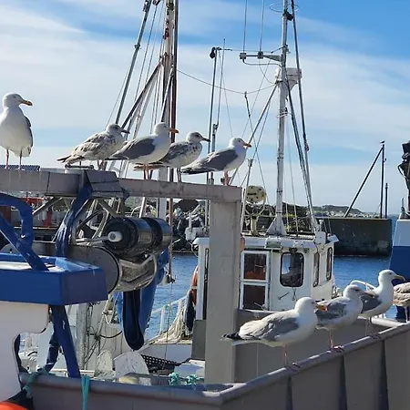 Boathouse In Mausund Apartament Bogoyvaer