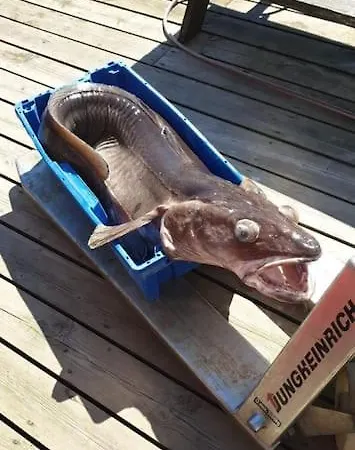 Boathouse In Mausund