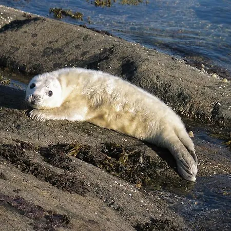 Boathouse In Mausund
