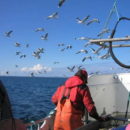 Boathouse In Mausund Apartmán Bogoyvaer