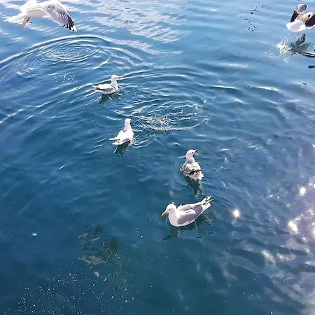 Apartament Boathouse In Mausund